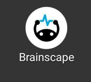 Brainscape Flashcards